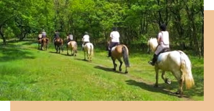 a group of people riding horses in birr offally