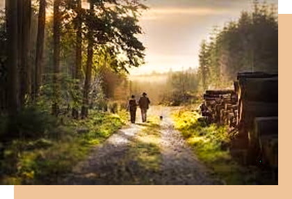 two people walking in slieve bloom forest