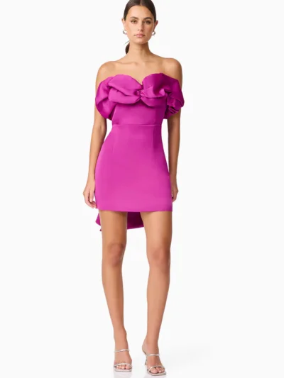 Shauna Mini Dress