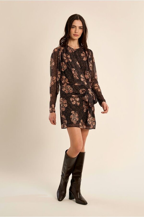 APPOLINE DRESS